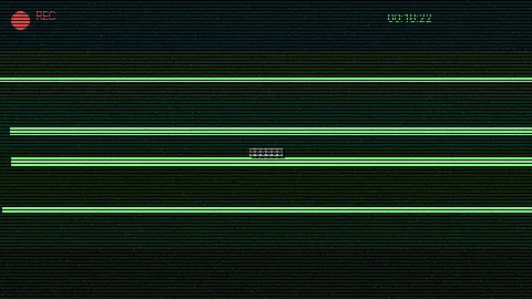 清晨公园散步 - 91吃瓜 日常记录